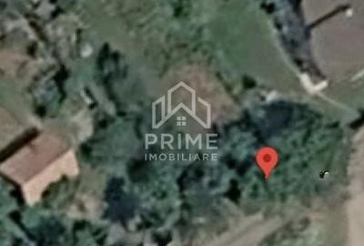 Spațiu comercial, în Cetate