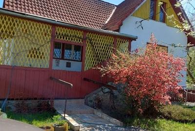 Casă individuală cu 4 camere cu Teren 4000 Mp în Zimbor - 1