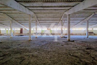 Spațiu industrial, de 2,000 mp, în Râșnov - 9