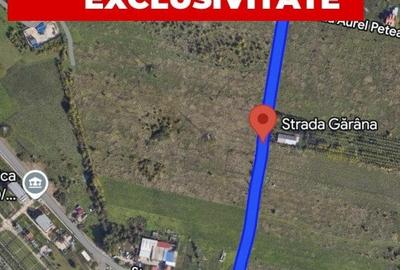Teren Construcții intravilan de 9250 mp, în Plopi - 1