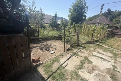 Casă cu Teren 7000 Mp în Central