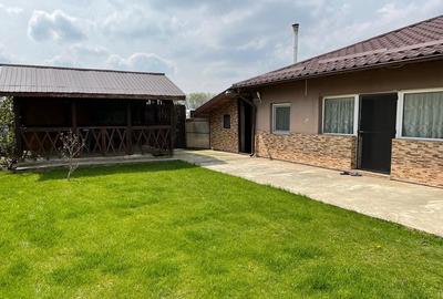 Casă cu Teren 2500 Mp în Berceni - 1