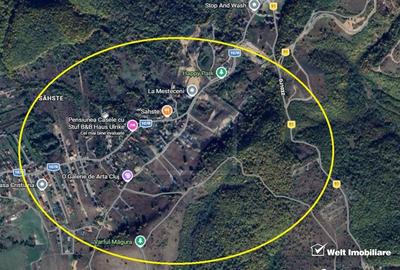 Teren Construcții intravilan de 700 mp, în Sălicea - 2