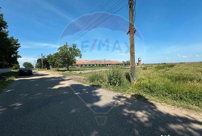 Teren de 11404 mp, în Biharia - 3
