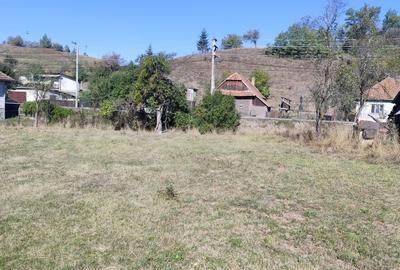 Casă cu 4 camere în Vânători