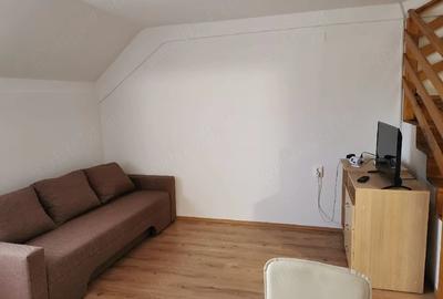 Apartament cu 2 camere semidecomandat în Ștrand - 4