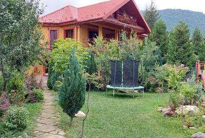 Casă cu 4 camere cu Teren 1000 Mp în Lepșa - 6