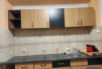 Apartament cu 2 camere decomandat în Scriitorilor - 5