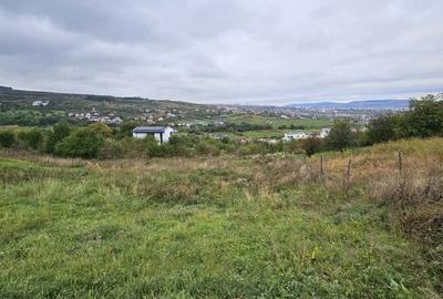 Teren Construcții intravilan de 2876 mp, în Borhanci - 4