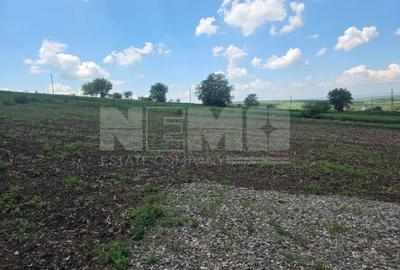 Teren Construcții intravilan de 2082 mp, în Sfântu Ilie - 4