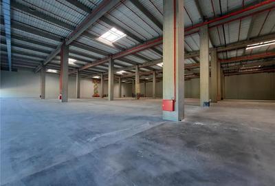 Spațiu industrial, de 2,300 mp, în Ștefăneștii de Jos - 4