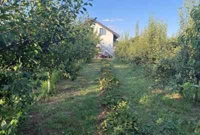 Casă cu 4 camere în Moara Vlăsiei - 3