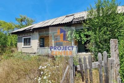 Casă cu 3 camere cu Teren 4525 Mp în Băbana