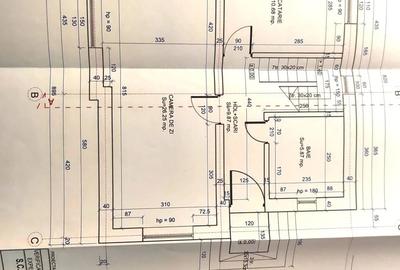 Casă cu 5 camere cu Teren 1340 Mp în Radu Negru - 9