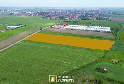 Teren Construcții intravilan de 10336 mp, în Livada - 4