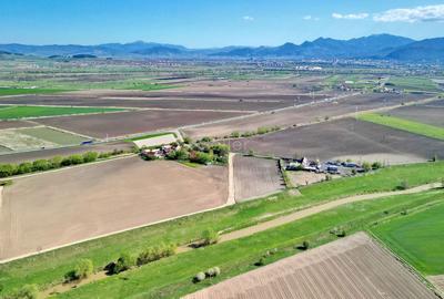 Teren Construcții intravilan de 126800 mp, în Stupini - 19