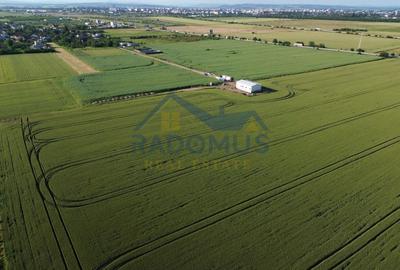 Teren agricol intravilan de 10000 mp, în Exterior Vest - 3