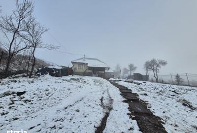 Casă cu 2 camere cu Teren 5135 Mp în Dobreni - 7