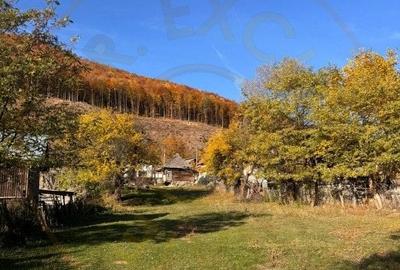 Teren Construcții intravilan de 7500 mp, în Sălătrucu - 2
