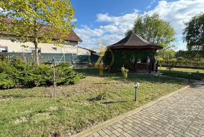 Casă cu 6 camere cu Canalizare în Buziaș - 3