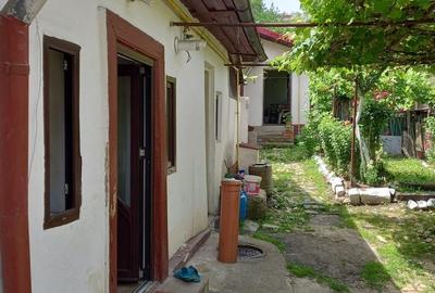 Casă cu 5 camere cu Teren 422 Mp în Exercițiu - 3
