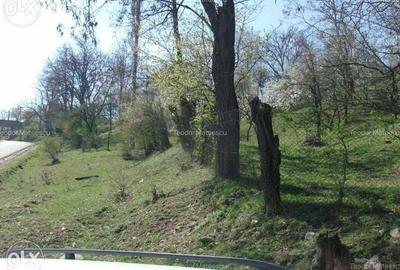 Teren de 3682 mp, în Măneciu - 7