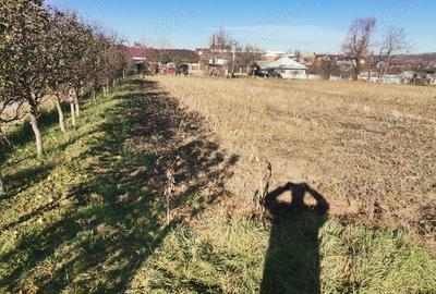 Teren de 6000 mp, în Fălticeni - 1