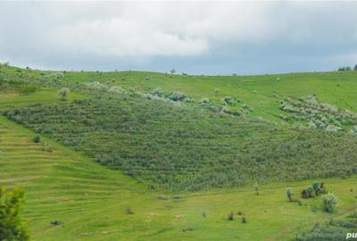 Teren de 20000 mp, în Vadu Săpat - 1