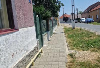 Casă cu 3 camere în Deta - 3