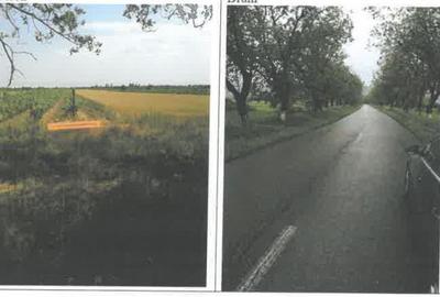 Teren de 1200 mp, în Pietroasele - 12