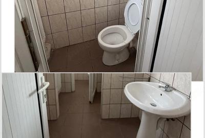 Spațiu comercial, de 720 mp, în Podgoria - 1