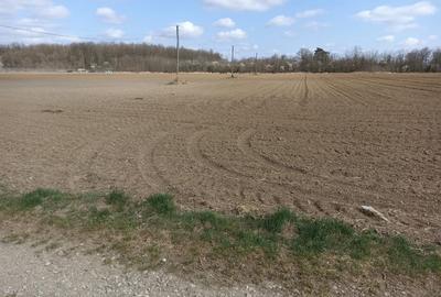 Teren de 7500 mp, în Izvorani