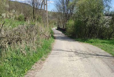 Teren de 1241 mp, în Provița de Sus