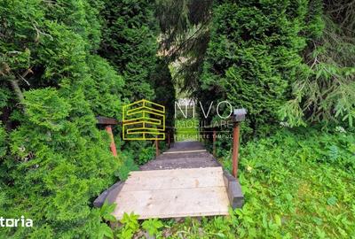 Casă cu 4 camere cu Teren 850 Mp în Lunca - 19
