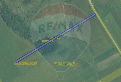 Teren agricol extravilan de 15400 mp, în Ion Neculce - 2