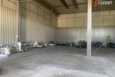 Spațiu industrial, de 377 mp, în Șagului - 3