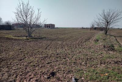 Teren de 5000 mp, în Frumușani - 9