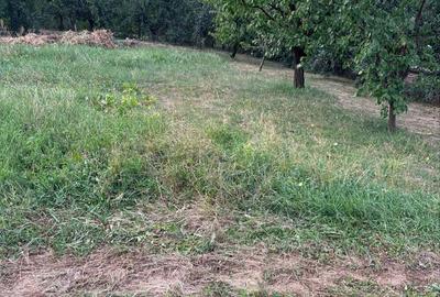 Teren de 500 mp, în Cihei - 3