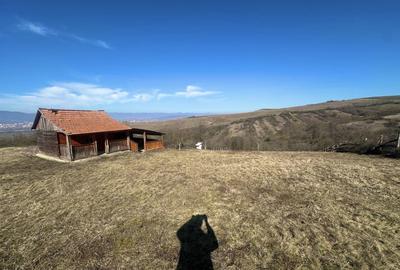 Teren agricol extravilan de 2400 mp, în Șeușa - 1