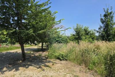Teren Construcții intravilan de 526 mp, în Izvorani - 3