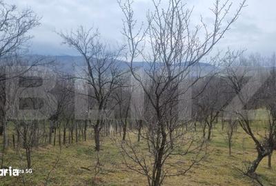 Teren de 3781 mp, în Izvoarele - 15