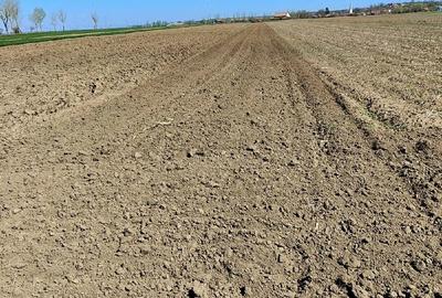 Teren de 4000 mp, în Plăiești