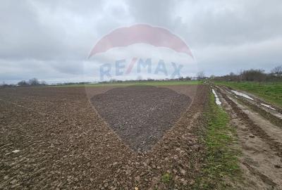 Teren Construcții intravilan de 5000 mp, în Adunații-Copăceni - 5