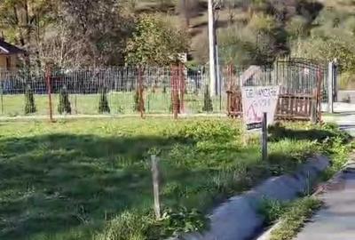 Teren de 1000 mp, în Moieciu - 4