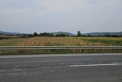 Teren de 2900 mp, în Central