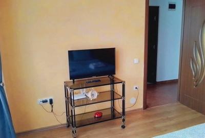 Garsonieră decomandată în Turnișor - 5