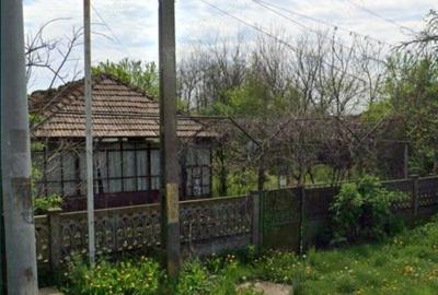 Teren de 3000 mp, în Fierbinți-Târg - 2