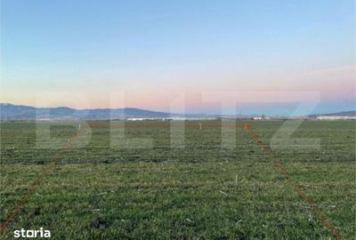 Teren de 5000 mp, în Central