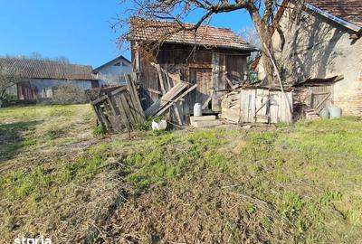 Casă cu 4 camere cu Teren 15000 Mp în Bichiș - 18