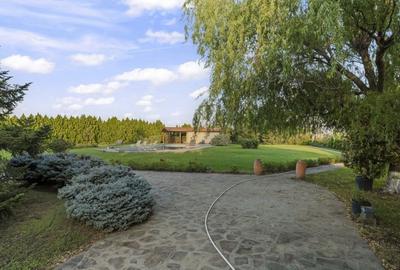 Casă individuală cu 6 camere cu Canalizare în Cernica - 4